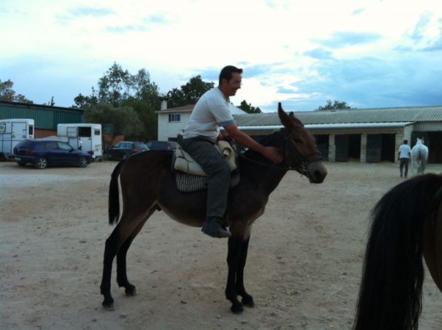 Paseo en burro